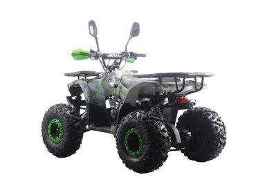 купить Квадроцикл MOTAX ATV Grizlik Premium 125cc в Москве - фото 