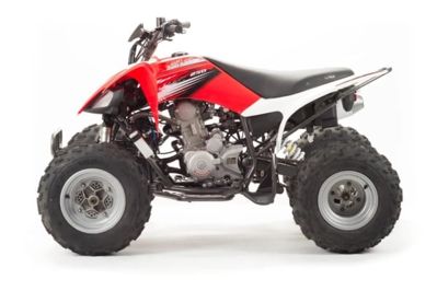 Квадроцикл MOTOLAND 250S в Москве