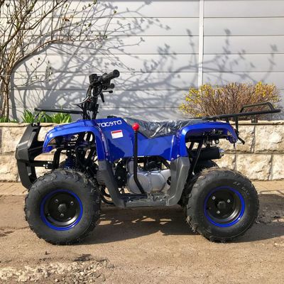 купить Квадроцикл YACOTA Smarty 110 в Москве - фото 