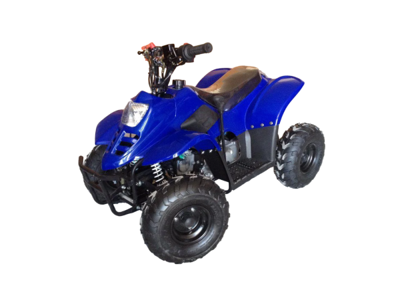 Квадроцикл RAPTOR 110 в Москве