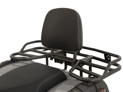 купить Квадроцикл GRIZZLY 200 Premium в Москве - фото 