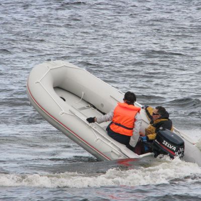 купить Лодка ПВХ BADGER Sport Line 430 AL в Москве - фото 