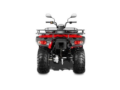 купить Квадроцикл LONCIN 250 в Москве - фото 