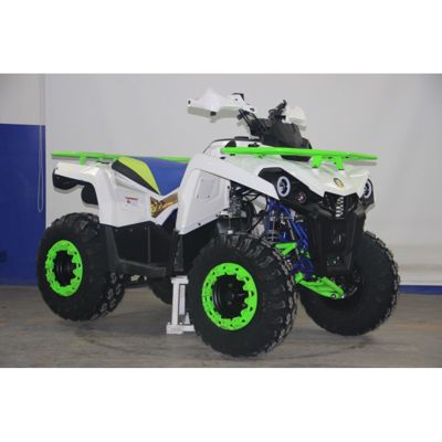 купить Квадроцикл AVANTIS Forester 200 Premium в Москве - фото 