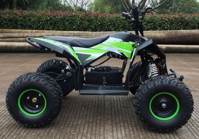 купить Электроквадроцикл MOTAX GEKKON 1300W в Москве - фото 