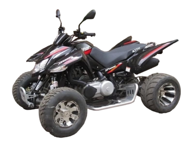 Квадроцикл ACCESS SP 300 SM в Москве