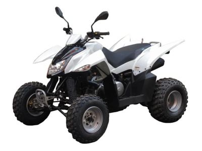 Квадроцикл SYM QuadRaider 300 SS в Москве