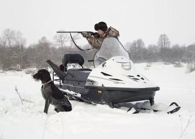 купить Снегоход РУССКАЯ МЕХАНИКА Тайга Варяг 550 V SE в Москве - фото 