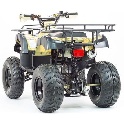 купить Квадроцикл STALKER 250 в Москве - фото 