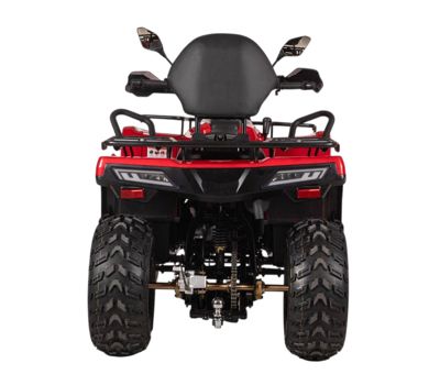 купить Квадроцикл BIZON YK250 Lux EFI в Москве - фото 