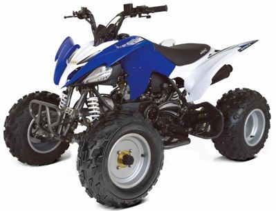 купить Квадроцикл ABM Scorpion 150 в Москве - фото 