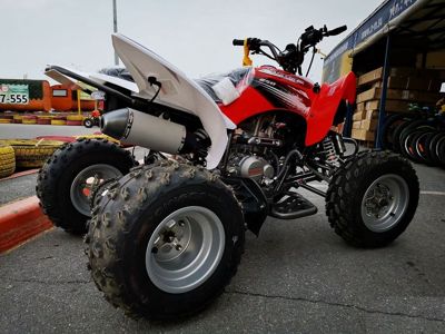 купить Квадроцикл MOTOLAND 250S Pro в Москве - фото 