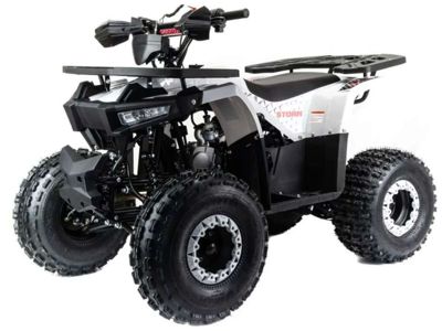 Квадроцикл MOTOLAND ATV 125 Storm в Москве