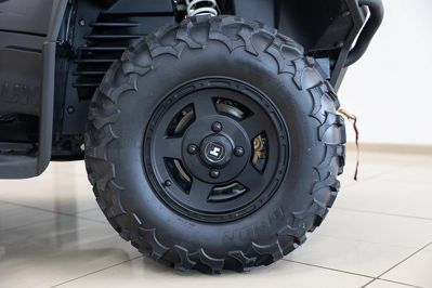 купить Квадроцикл HISUN Guardian 750S Short (ПСМ) в Москве - фото 