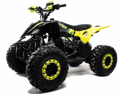 Квадроцикл MOTOLAND 125 Raptor в Москве