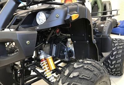 купить Квадроцикл RAPTOR Max Pro 250 (жёлтый/чёрный) (2024) в Москве - фото 