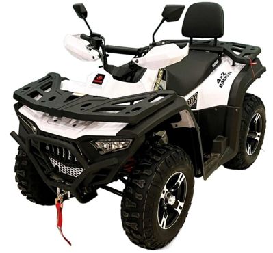 Квадроцикл BASHAN Explorer 300 Winch в Москве