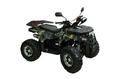 Квадроцикл Motax Grizlik Premium 150 в Москве