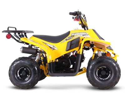 купить Квадроцикл SHARMAX 130 Cross в Москве - фото 