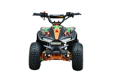 купить Квадроцикл WELS Tukah 110 в Москве - фото 