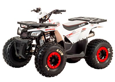 Квадроцикл MOTOLAND 125 Wild в Москве