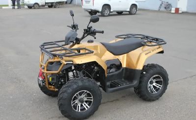 купить Квадроцикл IRBIS ATV 250 Premium в Москве - фото 