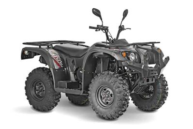 купить Квадроцикл BALTMOTORS Striker 400 EFI в Москве - фото 