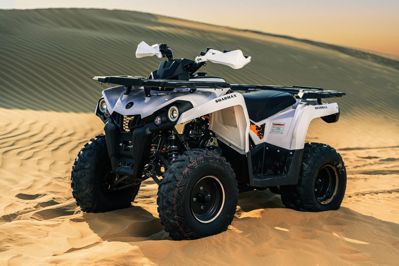 купить Квадроцикл SHARMAX Hummer 300 в Москве - фото 