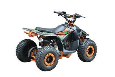 купить Квадроцикл WELS Tukah 110 в Москве - фото 