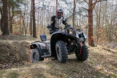 купить Квадроцикл BALTMOTORS Striker 400 EFI в Москве - фото 