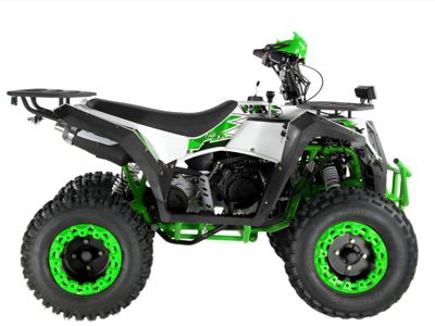 купить Квадроцикл WELS Thunder Evo 200 в Москве - фото 