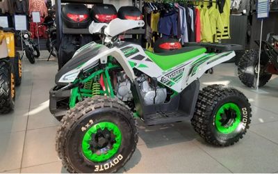 купить Квадроцикл MOTOLAND 125 COYOTE PRO (2023) Б/У в Москве - фото 