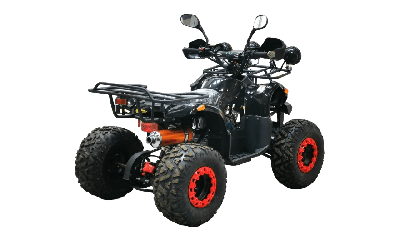 купить Квадроцикл BISON Kids 125 LD в Москве - фото 