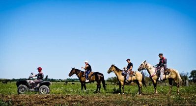 купить Квадроцикл BALTMOTORS Striker 700 EFI (ПСМ) в Москве - фото 