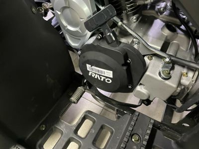 купить Квадроцикл RATO Rush 250 в Москве - фото 