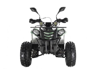 купить Квадроцикл WELS Thunder EVO LUX X 125 в Москве - фото 