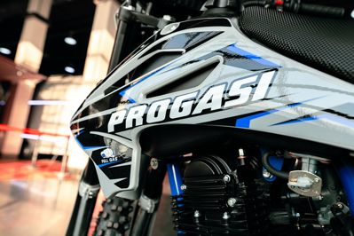 купить Мотоцикл кроссовый эндуро ПРОГАСИ Palma 300 в Москве - фото 