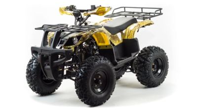 Квадроцикл MOTOLAND 150 Maverick в Москве