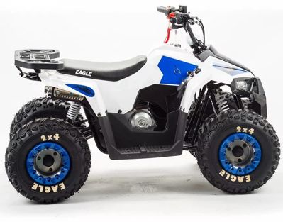 купить Квадроцикл MZ Eagle 110 в Москве - фото 
