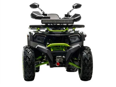 купить Квадроцикл MOTOLAND 200 Wild Track X Winch в Москве - фото 