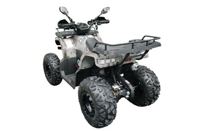 купить Квадроцикл MOTAX ATV Grizlik T200 Lux в Москве - фото 