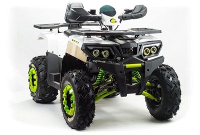 купить Квадроцикл MOTOLAND ATV 200 Wild Track в Москве - фото 