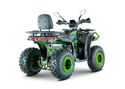 купить Квадроцикл YACOTA Viking NEW 200 в Москве - фото 
