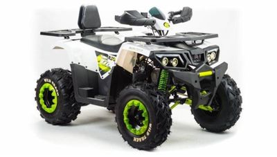 купить Квадроцикл MOTOLAND 200 Wild Track Lux ( Баланс. вал) (2021 Г.) в Москве - фото 