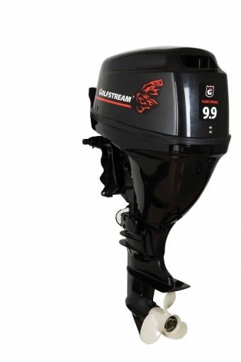 купить 4х-тактный лодочный мотор GOLFSTREAM F 9.9 FWS в Москве - фото 
