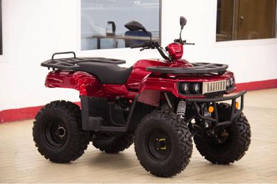 купить Квадроцикл UNIVERSAL Hammer 2 (200) в Москве - фото 