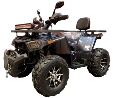 Квадроцикл TAO MOTOR ATV 200 Lux в Москве