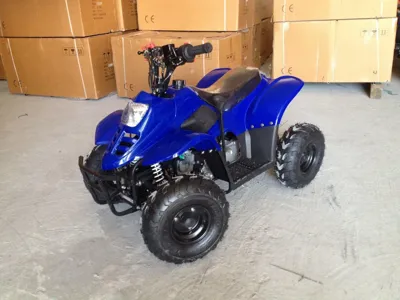 купить Квадроцикл RAPTOR 110 в Москве - фото 