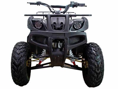 купить Квадроцикл ATV Classic 200 в Москве - фото 