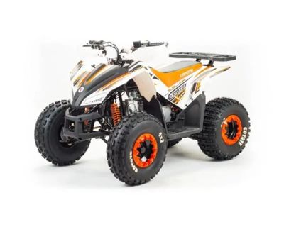 Квадроцикл MOTOLAND 125 Coyote (2021 Г.) в Москве